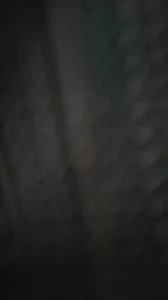 听声可射